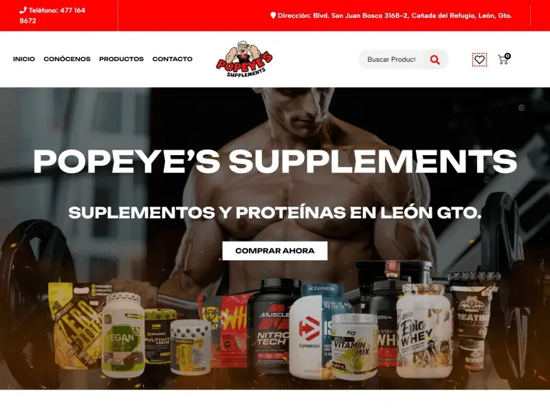 diseñadores web queretaro