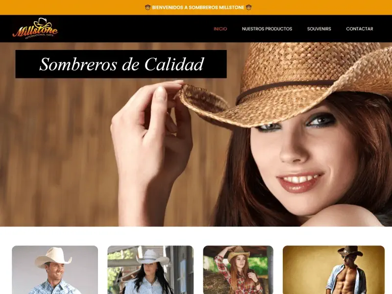 diseño paginas web queretaro